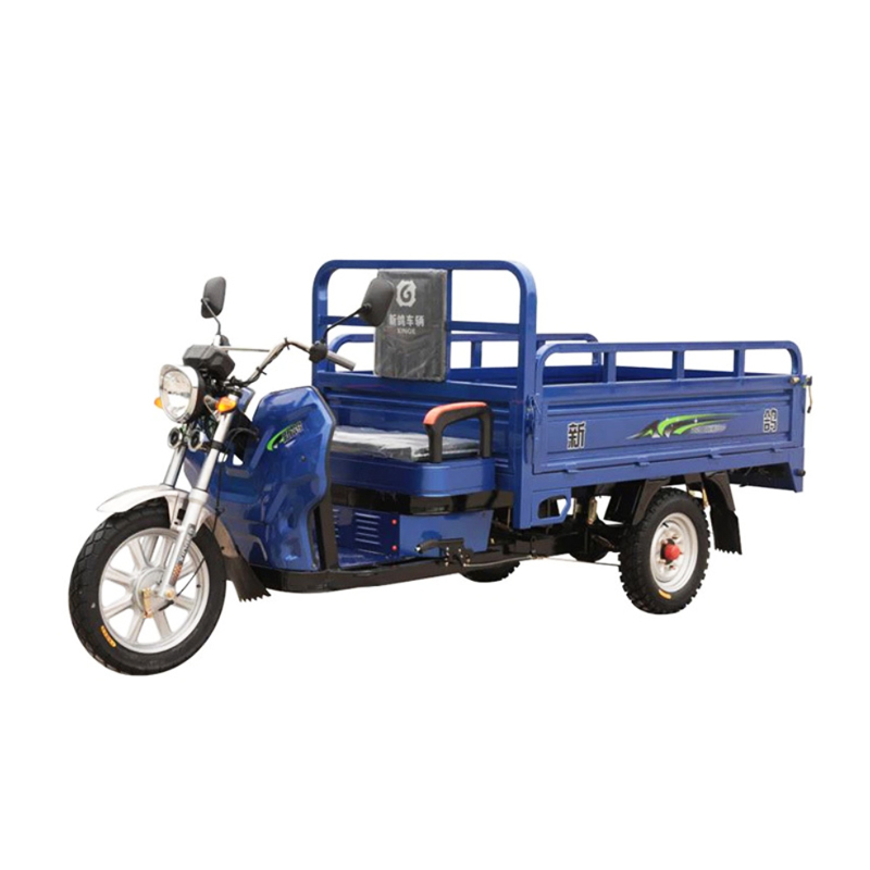 1500W มอเตอร์ไฟฟ้ารถบรรทุกรถบรรทุกสามล้อ